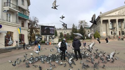 На Тернопільщині за добу COVID-19 виявили у 120 осіб