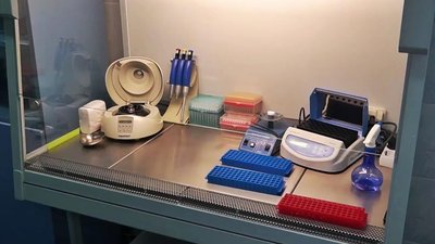 Реагенти для тестування пацієнтів на коронавірус придбала Мукачівська ЦРЛ