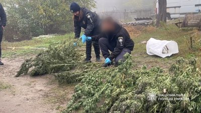 Канабіс, вилучений під час обшуку в жителя Саф'янівської громади на Одещині
