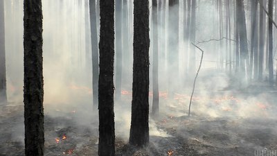 До ліквідації лісових пожеж залучать важку військову техніку — МВС