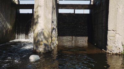 Екологія водойм на Черкащині: Вільшанка Екологія водойм на Черкащині: Вільшанка