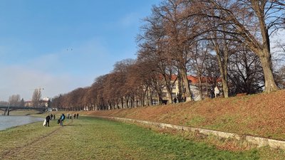 В Ужгороді прибирають сміття з берегів річки В Ужгороді прибирають сміття з берегів річки
