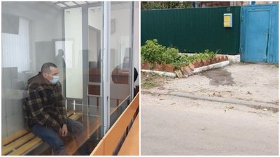 Розпочалося судове засідання у справі водія, який у Бережинці збив дічинку насмерть