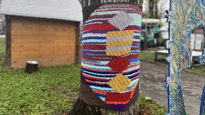 На території палацу Потоцьких в Івано-Франківську дерева "одягли" в кольорове в’язане вбрання