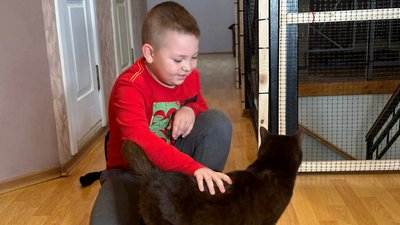 В Ужгороді відкрили котокав’ярню. Тут живуть 14 котиків із притулку В Ужгороді відкрили котокав’ярню. Тут живуть 14 котиків із притулку