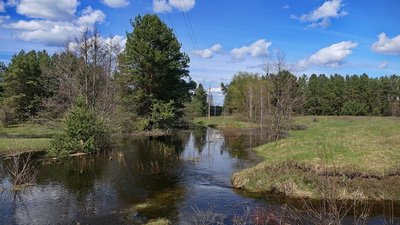 "Танки не пройдуть". На півночі Сумщини розлилися річки "Танки не пройдуть". На півночі Сумщини розлилися річки
