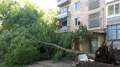 Перекрило проїжджу частину. На Дніпропетровщині рятувальники прибрали повалене дерево