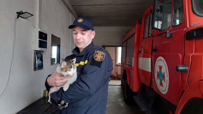 Мурка з рятувальником Мурка з рятувальником