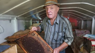 «Бджоли – це вже як хвороба»: пасічник з Полтавщини понад пів століття займається бджільництвом «Бджоли – це вже як хвороба»: пасічник з Полтавщини понад пів століття займається бджільництвом