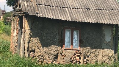 У Тлумачі на Прикарпатті жінку звинувачують у жорстокому поводженні з собаками У Тлумачі на Прикарпатті жінку звинувачують у жорстокому поводженні з собаками
