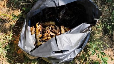 Миколаївський рибоохоронний патруль