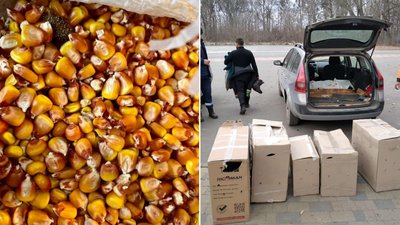 Кукурудза та корми для птахів Кукурудза та корми для птахів