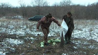 У запорізьких лісогосподарствах почали підгодовувати диких тварин У запорізьких лісогосподарствах почали підгодовувати диких тварин