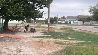 На Херсонщині зафіксували спалах африканської чуми свиней На Херсонщині зафіксували спалах африканської чуми свиней