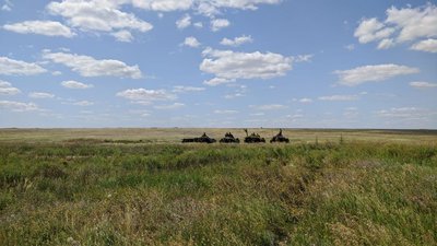 Подолання умовних водних перешкод. На Миколаївщині триває четвертий етап україно-британських навчань Подолання умовних водних перешкод. На Миколаївщині триває четвертий етап україно-британських навчань