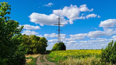 поле в новоукраїнському районі