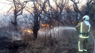 Майже 60 пожеж на відкритих територіях за добу сталося у Полтавській області Майже 60 пожеж на відкритих територіях за добу сталося у Полтавській області