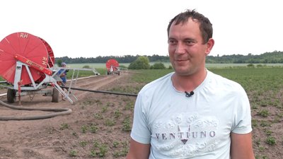 Боротьба за урожай — що прогнозує керівниця агропідприємства на Рівненщині