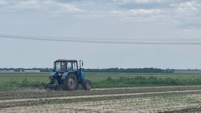 Агросектор Херсонщини: які пестициди зараз використовують в області