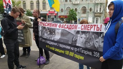 акція тварини акція тварини