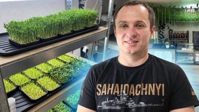 ветеран із Миколаєва вирощує мікрозелень