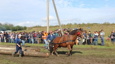 На Прикарпатті відбулися кінні перегони На Прикарпатті відбулися кінні перегони