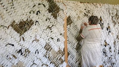 Маскувальні сітки Маскувальні сітки