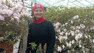 "У складні часи треба насолоджуватись красою". У ботсаду Кривого Рогу квітують азалії "У складні часи треба насолоджуватись красою". У ботсаду Кривого Рогу квітують азалії