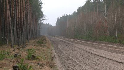 Як на Рівненщині захищають кордон з Білоруссю та що кажуть місцеві Як на Рівненщині захищають кордон з Білоруссю та що кажуть місцеві