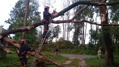 Повалені дерева та розмиті дороги. На Франківщині ліквідовують наслідки негоди Повалені дерева та розмиті дороги. На Франківщині ліквідовують наслідки негоди