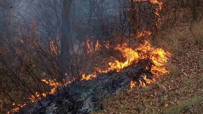 У селищі на Харківщині третю добу гасять пожежу сухостою