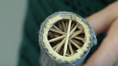 Житомирянка Наталія Твардовська з борщівника виготовляє посохи дощу Житомирянка Наталія Твардовська з борщівника виготовляє посохи дощу