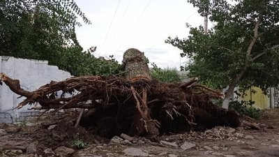 Наслідки негоди в Тарутинській ОТГ. Наслідки негоди в Тарутинській ОТГ.
