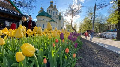 Квіти – дівчині: поліція відкрила кримінал за фактом крадіжки тюльпанів у Рівному
