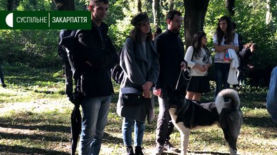 Майже 50 собак привели на виставку в Боздоський парк в Ужгороді Майже 50 собак привели на виставку в Боздоський парк в Ужгороді