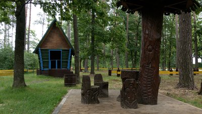 Рекреаційні пункти біля доріг: де в лісах Чернігівщини можна відпочивати Рекреаційні пункти біля доріг: де в лісах Чернігівщини можна відпочивати