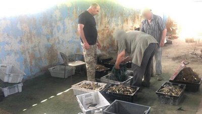 У Нацпарку на Одещині затримали двох браконьєрів, які ловили рибу У Нацпарку на Одещині затримали двох браконьєрів, які ловили рибу
