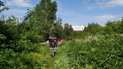Ріжуть аварійні кущі та дерева: у Луцьку розчищають берег Сапалаївки