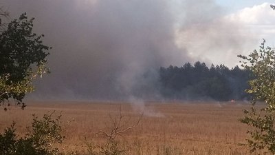 В Одеській області горить лісовий масив В Одеській області горить лісовий масив