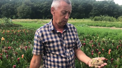 квіти квіти