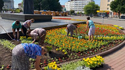 У Луцьку завершують висаджувати квіти: на озеленення міста планують цьогоріч витрати дев'ять мільйонів гривень У Луцьку завершують висаджувати квіти: на озеленення міста планують цьогоріч витрати дев'ять мільйонів гривень