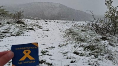 Акція руху Жовта стрічка