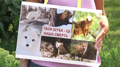 Норкова ферма "Профуна" на Житомирщині поновила роботу, всупереч рішенню суду Норкова ферма "Профуна" на Житомирщині поновила роботу, всупереч рішенню суду