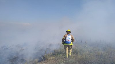 На Херсонщині зменшилась кількість пожеж в екосистемах, проте зросла їх площа