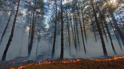 На Миколаївщині за добу сталися 17 пожеж, чотири з них — через обстріли російськими військами На Миколаївщині за добу сталися 17 пожеж, чотири з них — через обстріли російськими військами