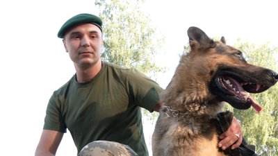 Підготовка до параду: У Львові відбуваються тренування службових собак Підготовка до параду: У Львові відбуваються тренування службових собак