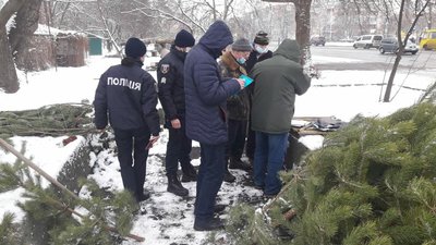 Операція "Новорічна ялинка": на Черкащині перевіряють законність збуту дерев Операція "Новорічна ялинка": на Черкащині перевіряють законність збуту дерев
