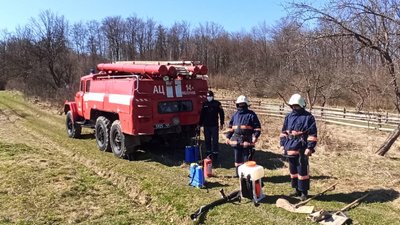 Прикарпатські рятувальники та лісівники пройшли навчання з гасіння лісових пожеж