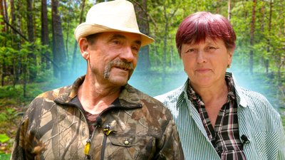 подружжя пенсіонерів збирає лисички й чорниці у лісі на Чернігівщині