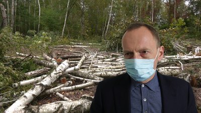 "Царського села" не буде: чернігівський міський голова прокоментував вирубку дерев поблизу Ялівщини